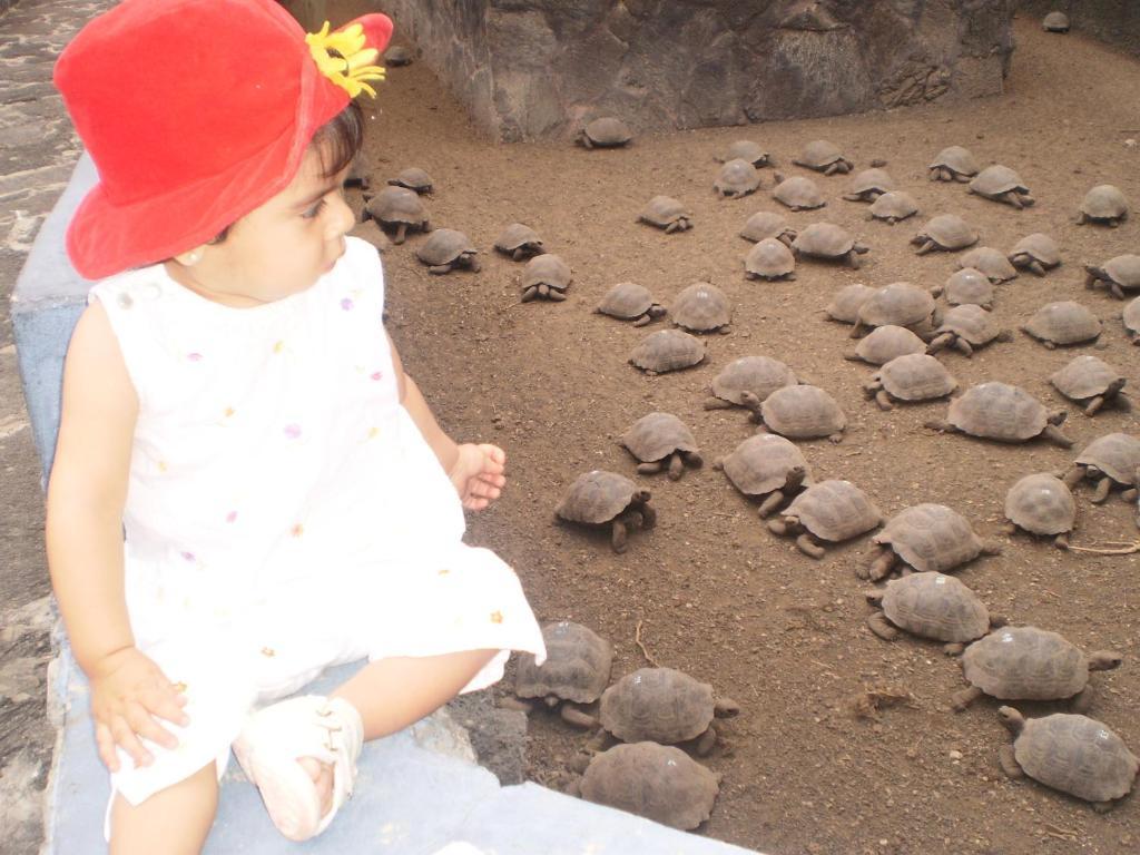 Hostal La Gran Tortuga 푸에르토빌라밀 외부 사진